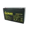 Baterija SAGA 6V - 12A FRX