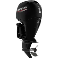 Mercury F150 L EFI