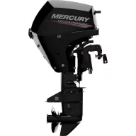Mercury F15 E EFI