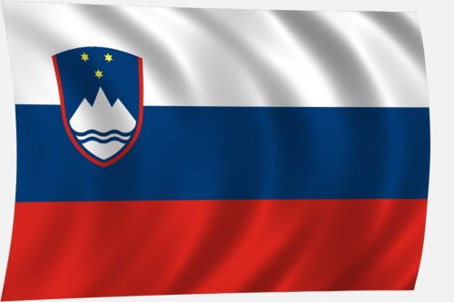 Slovenska zastava 30 x 20 cm