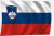 Slovenska zastava 30 x 20 cm