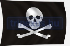 Zastava pirat 100 x 60 cm