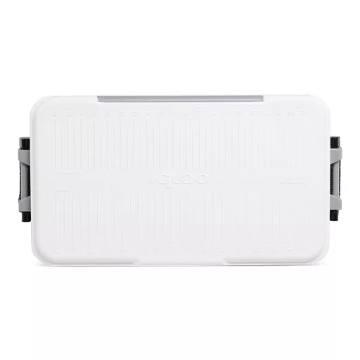 Hűtőláda Igloo  23 liter  52,22 x 26,56 x 33,17 cm EVA