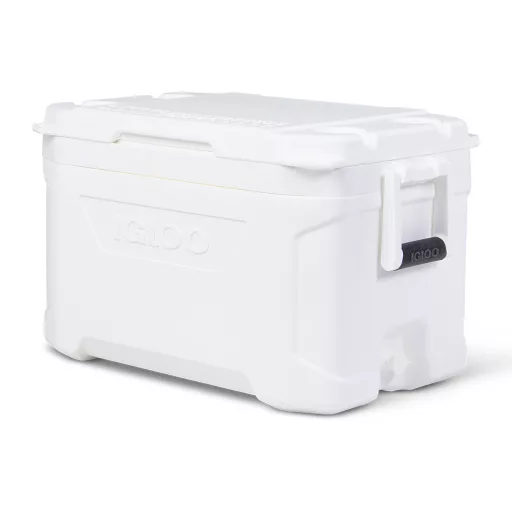 Hűtőláda Igloo  23 liter  52,22 x 26,56 x 33,17 cm EVA