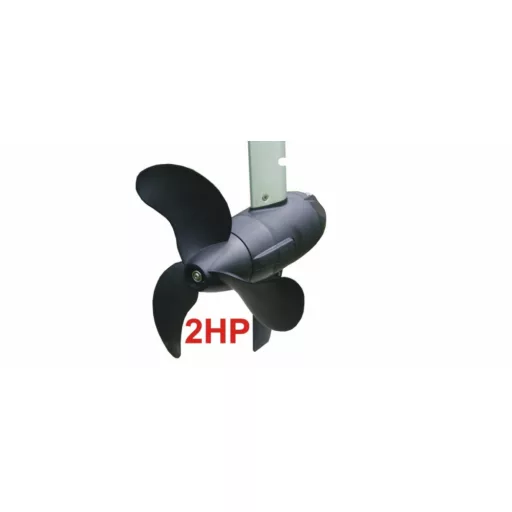 Haswing-Propeller Protruar 2 KM