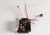 Haswing Cayman B55 PCB komplet elektronike