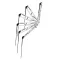 Minn Kota Raptor 10 Drop-Anker Active Anchoring – bela