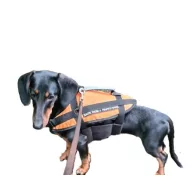 Plavalni pripomoček za pse 15-40 kg Oranžna