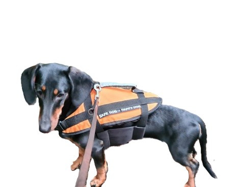 Plavalni pripomoček za pse 15-40 kg Oranžna